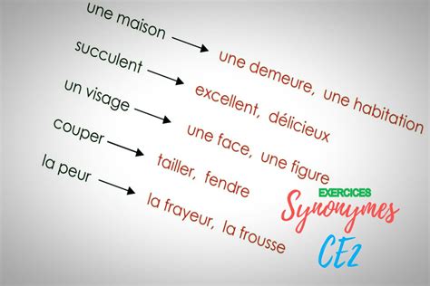 par exemple synonyme|exemple de synonyme.